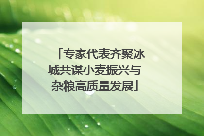 专家代表齐聚冰城共谋小麦振兴与杂粮高质量发展