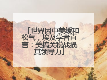 世界因中美缓和松气，埃及学者直言：美搞关税战损其领导力