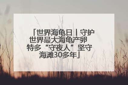 世界海龟日丨守护世界最大海龟产卵 特多“守夜人”坚守海滩30多年
