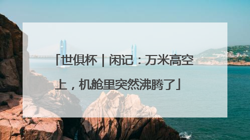 世俱杯｜闲记：万米高空上，机舱里突然沸腾了