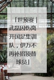 世预赛｜武磊因伤离开国足集训队，伊万不再补招顶替球员