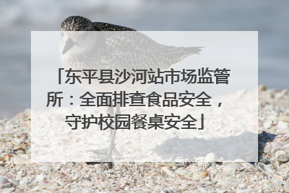 东平县沙河站市场监管所：全面排查食品安全，守护校园餐桌安全
