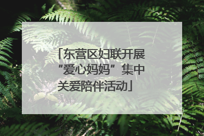 东营区妇联开展“爱心妈妈”集中关爱陪伴活动