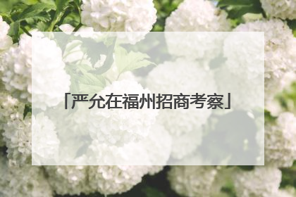 严允在福州招商考察