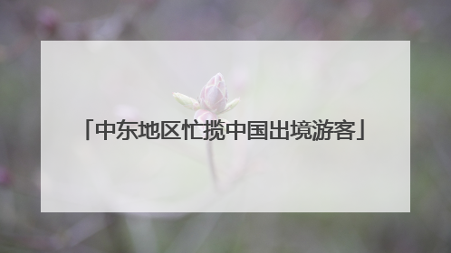 中东地区忙揽中国出境游客