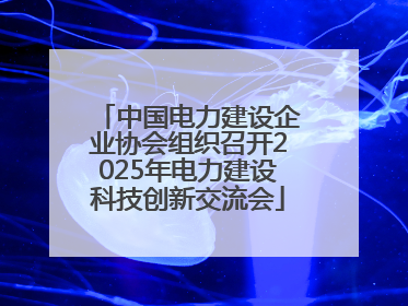 中国电力建设企业协会组织召开2025年电力建设科技创新交流会
