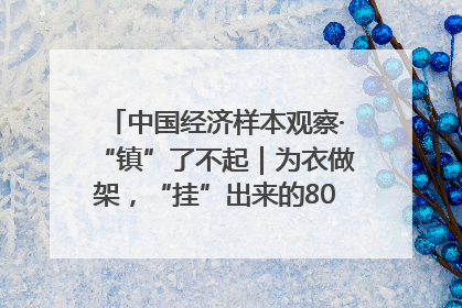 中国经济样本观察·“镇”了不起｜为衣做架，“挂”出来的80亿元“衣架产业”
