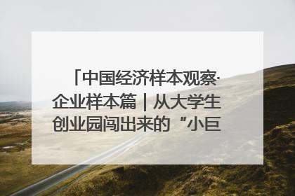 中国经济样本观察·企业样本篇｜从大学生创业园闯出来的“小巨人”——卡诺普机器人的逐梦历程