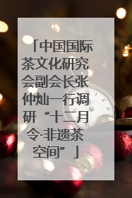 中国国际茶文化研究会副会长张仲灿一行调研“十二月令·非遗茶空间”