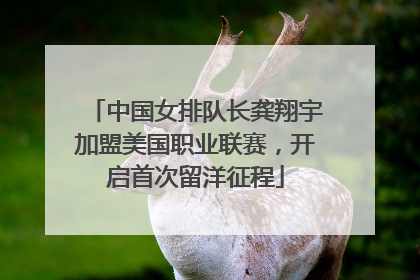 中国女排队长龚翔宇加盟美国职业联赛，开启首次留洋征程