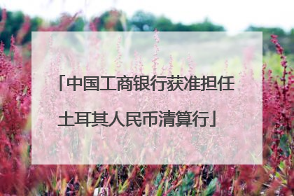 中国工商银行获准担任土耳其人民币清算行