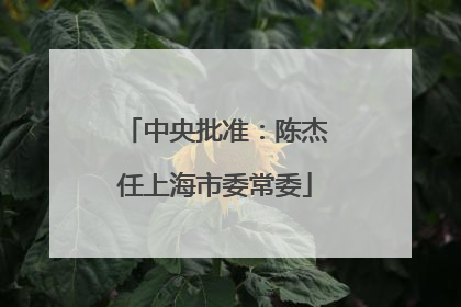 中央批准：陈杰任上海市委常委
