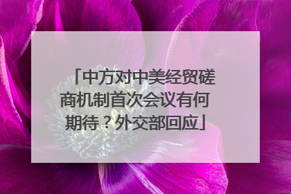 中方对中美经贸磋商机制首次会议有何期待？外交部回应