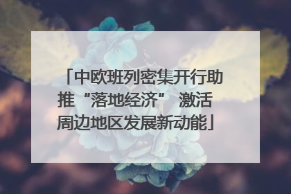 中欧班列密集开行助推“落地经济” 激活周边地区发展新动能