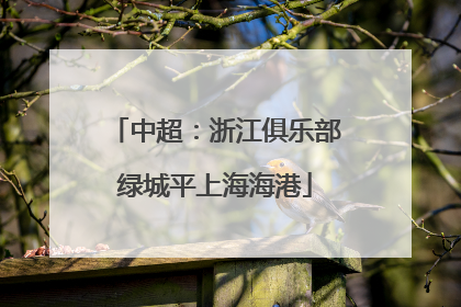 中超：浙江俱乐部绿城平上海海港
