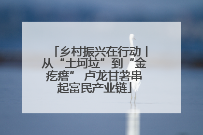 乡村振兴在行动丨从“土坷垃”到“金疙瘩” 卢龙甘薯串起富民产业链
