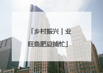 乡村振兴｜业旺鱼肥夏捕忙