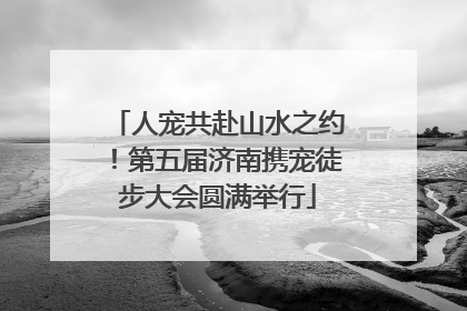 人宠共赴山水之约！第五届济南携宠徒步大会圆满举行