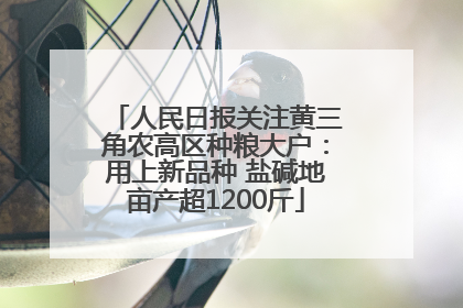 人民日报关注黄三角农高区种粮大户：用上新品种 盐碱地亩产超1200斤