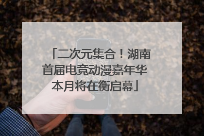 二次元集合！湖南首届电竞动漫嘉年华本月将在衡启幕