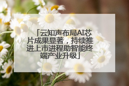 云知声布局AI芯片成果显著，持续推进上市进程助智能终端产业升级