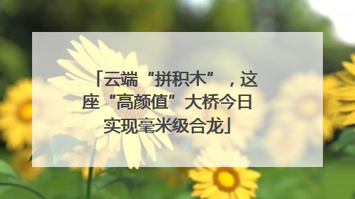 云端“拼积木”，这座“高颜值”大桥今日实现毫米级合龙