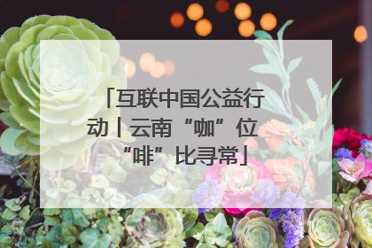 互联中国公益行动丨云南“咖”位“啡”比寻常