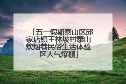五一假期泰山区邱家店镇王林坡村泰山炊烟巷民俗生活体验区人气爆棚