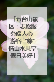 五台山景区：志愿服务暖人心 游客“粽”情山水共享假日美好