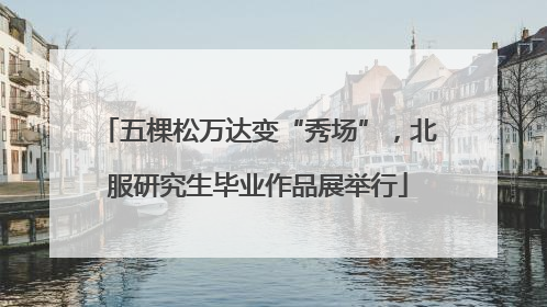 五棵松万达变“秀场”，北服研究生毕业作品展举行