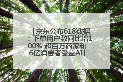 京东公布618数据：下单用户数同比增100% 超百万商家和6亿消费者受益AI