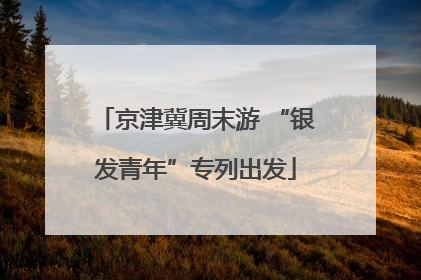 京津冀周末游 “银发青年”专列出发