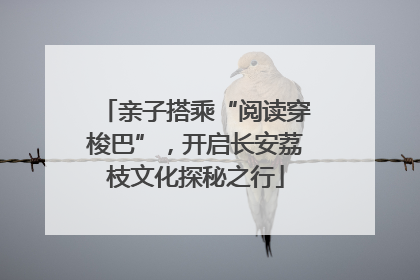 亲子搭乘“阅读穿梭巴”，开启长安荔枝文化探秘之行