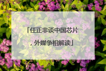 任正非谈中国芯片，外媒争相解读