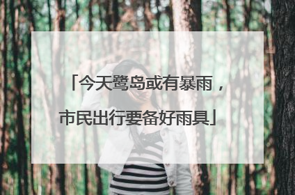 今天鹭岛或有暴雨，市民出行要备好雨具