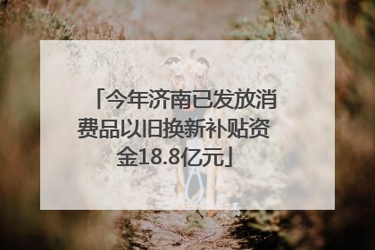 今年济南已发放消费品以旧换新补贴资金18.8亿元