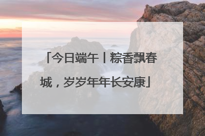 今日端午丨粽香飘春城，岁岁年年长安康