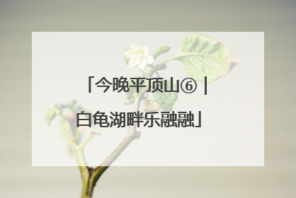 今晚平顶山⑥｜白龟湖畔乐融融