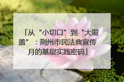 从“小切口”到“大覆盖”：荆州市民法典宣传月的基层实践密码