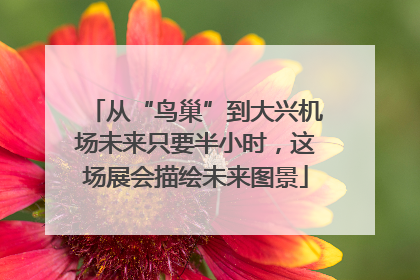 从“鸟巢”到大兴机场未来只要半小时，这场展会描绘未来图景