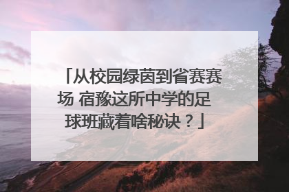 从校园绿茵到省赛赛场 宿豫这所中学的足球班藏着啥秘诀？