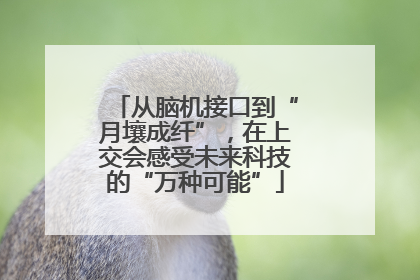从脑机接口到“月壤成纤”，在上交会感受未来科技的“万种可能”
