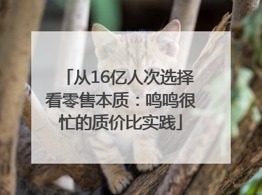 从16亿人次选择看零售本质：鸣鸣很忙的质价比实践