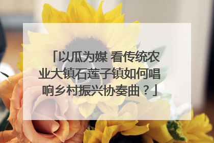 以瓜为媒 看传统农业大镇石莲子镇如何唱响乡村振兴协奏曲？