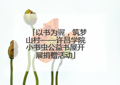 以书为翼，筑梦山村——许昌学院小书虫公益书屋开展捐赠活动