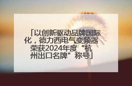 以创新驱动品牌国际化，德力西电气变频器荣获2024年度“杭州出口名牌”称号