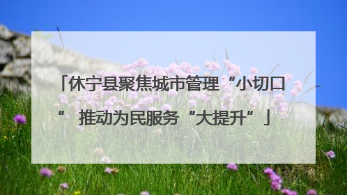 休宁县聚焦城市管理“小切口” 推动为民服务“大提升”