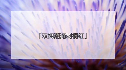 双拥潮涌刺桐红
