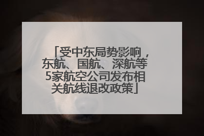 受中东局势影响，东航、国航、深航等5家航空公司发布相关航线退改政策