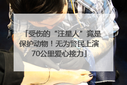 受伤的“汪星人”竟是保护动物！无为警民上演70公里爱心接力